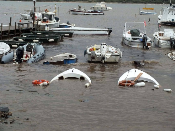 I fossi e lo stagno di Baratti (Piombino - LI)